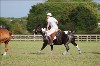 UKPA  NC Sat_1295